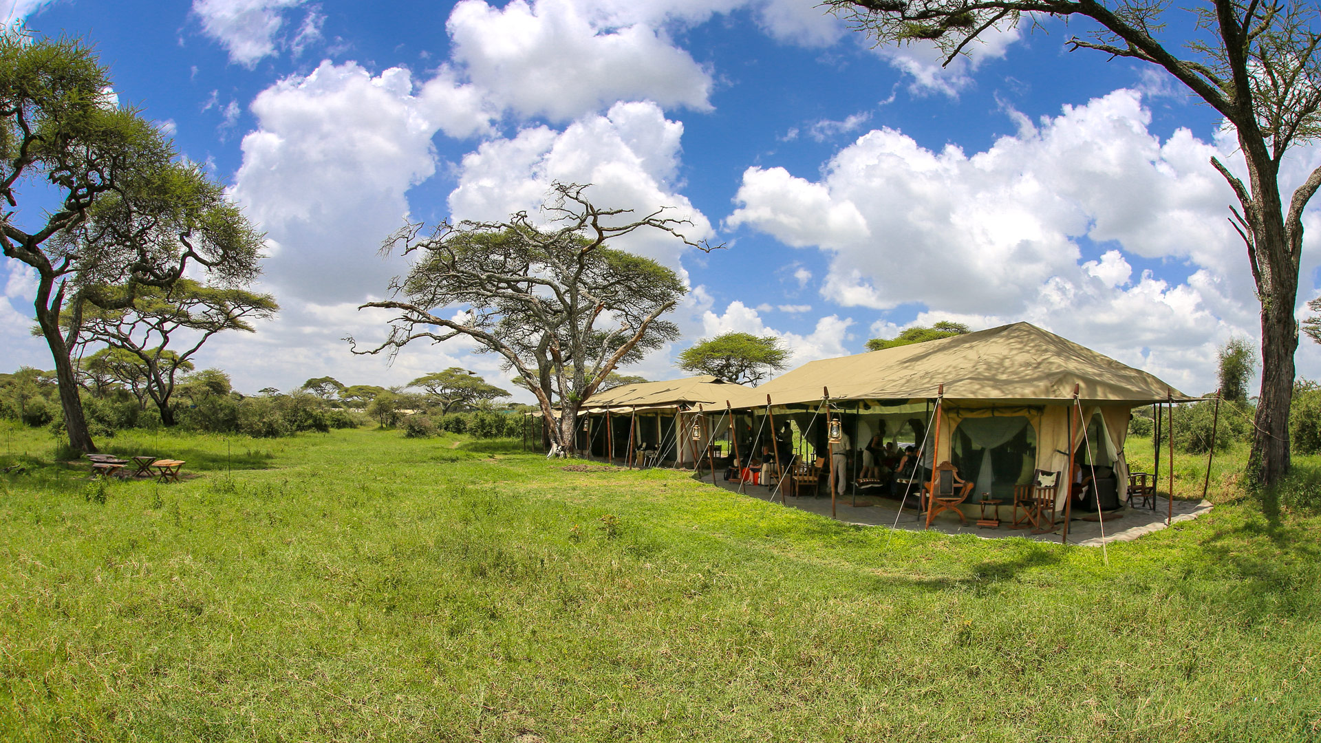 Lemala Ndutu Tented Camp in Tanzania