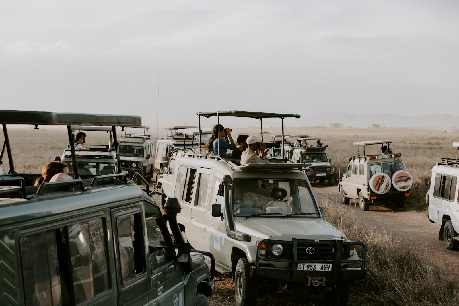 Great Migration wildebeest herd in the Serengeti