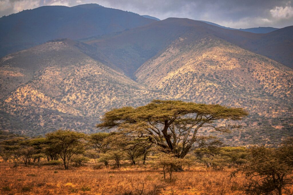 Ngorongoro Crater highland landscape