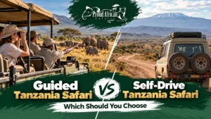 Guided Tanzania safari vs self-drive
