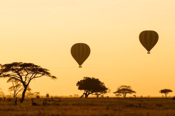 Hot air balloons over the Serengeti plains at sunrise